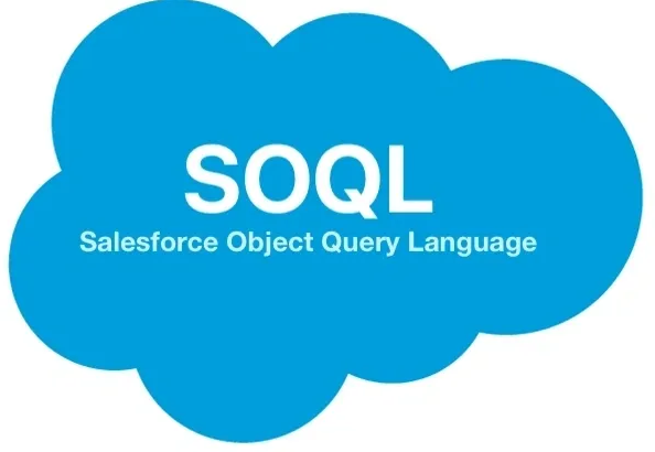 Salesforce Developer Skills - SOQL