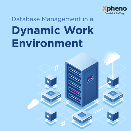 Database-dynamic-work-environment-T-L