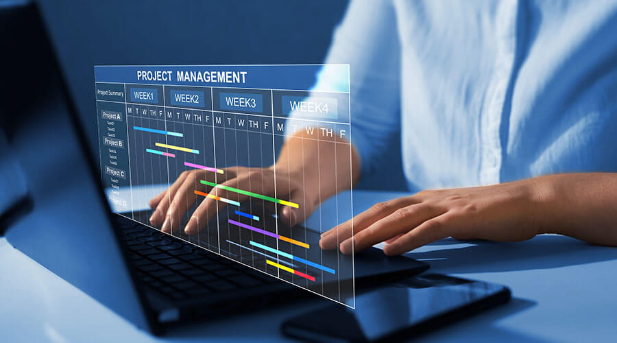 IT Engineering Skill - Project Management Proficiency