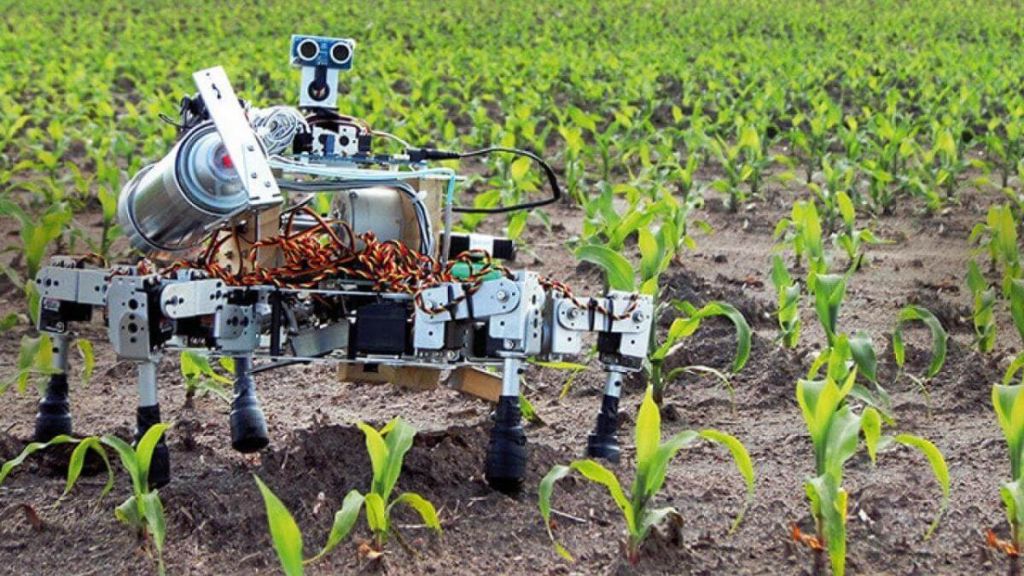 Robots in farming