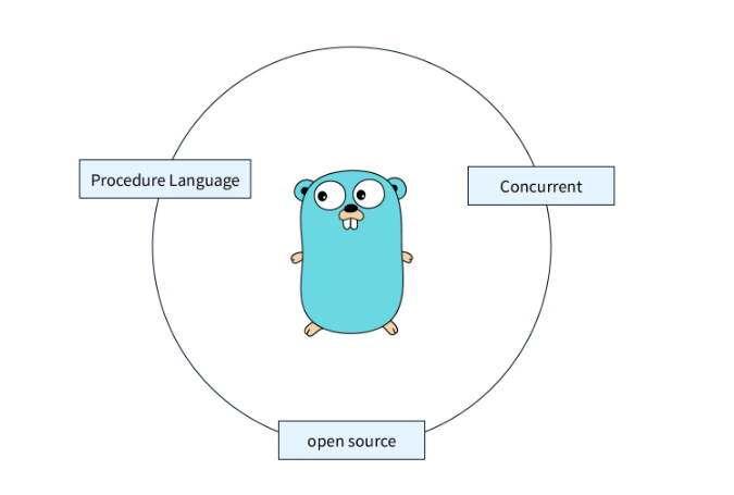 Understand Golang basics